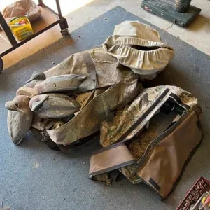 Large Lot of Duck & Geese Decoys