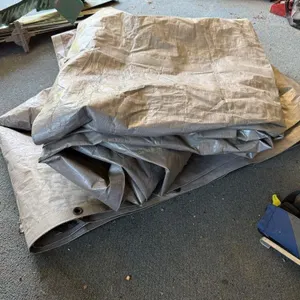 Tarp