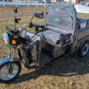 2026 SDLANCH IRET13 60V Electric Tricycle-(GREY COLOR)
