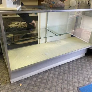5' Floor Model Glass Display Case