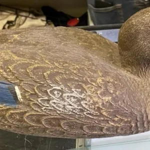 Plastic Duck Decoy