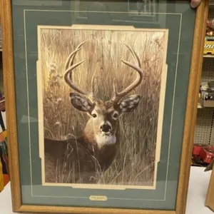 26" x 31" Framed Deer Print