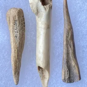 Bone Needles