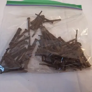 Square Nails