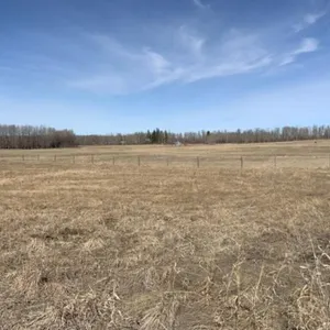 2026 Pasture Rent SE7-49-4W5M (160 ac)