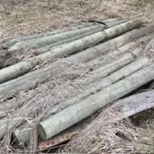 Approx 15 5-6 inch fence posts.