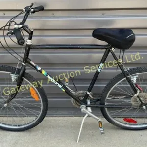 Skyline 22 inch Bike
