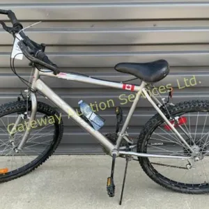 CCM Mega Oversize Extreme Ice Bike 17 inch