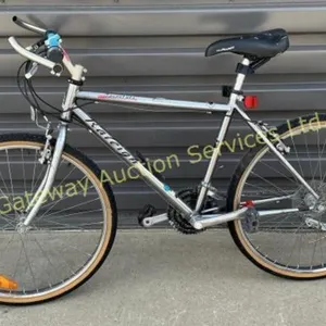Raleigh 18 inch Bike