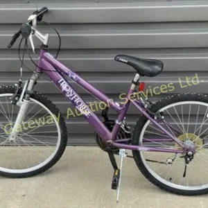 Girls 14 inch Mountain Bike