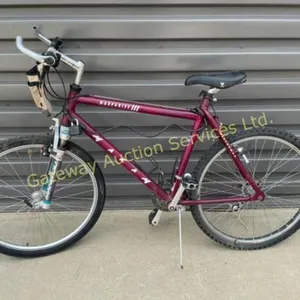 Maxam Warpdrive Mountain Bike 20 inch
