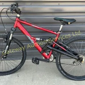 ZED DS Bike