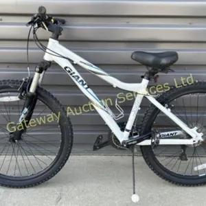 Giant 16 inch Mountain Bike with front suspension
