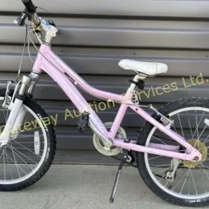 Kids Giant Mountain Bike 10 inch front suspension
