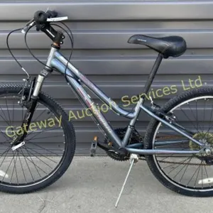 Nakamura 13 inch Mountain Bike