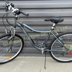Infinity 16 inch Girls Mountain Bike