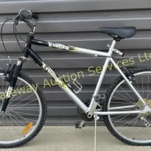Trump Frenzy Mountain Bike 20 inch