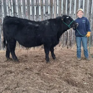 Ryleigh Monner - 4H Steer - Lomond 4H Beef Club
