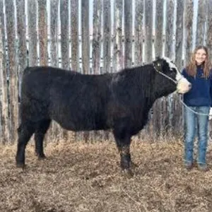 Blayke Monner - 4H Steer - Lomond 4H Beef Club