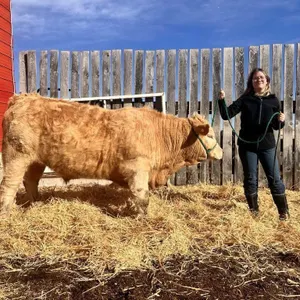 Cayley Tharle - 4H Steer - Arrowwood Beef Club