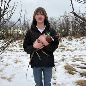 Madi Loyva - Pheasant Pkg - Champion 4H Multi Club