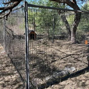 Dog Kennel and Dog House