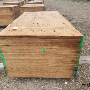 Bundle of (50) 5/8" 4x8 CSP/DFP No Stamp Plywood 
 UNRESERVED