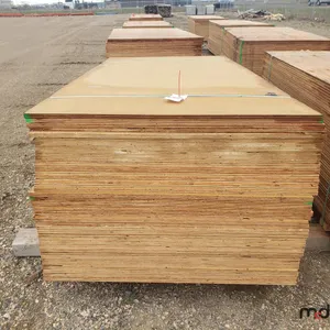Bundle of (40) 3/4" 4x8 CSP/DFP No Stamp Plywood 
 UNRESERVED