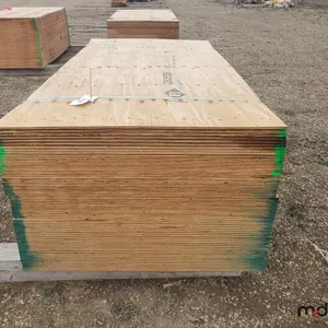 Bundle of (60) 1/2" 4x8 CSP/DFP No Stamp Plywood 
 UNRESERVED