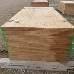 Bundle of (40) 3/4" 4x8 CSP/DFP No Stamp Plywood 
 UNRESERVED