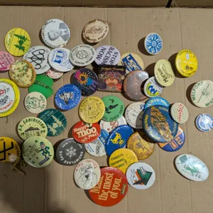 lot of Vintage Pins (Some From Prince Albert)