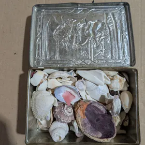 Vintage Tin W/ Various Sea Shells and etc.