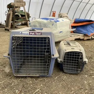 Two Pet Kennels
