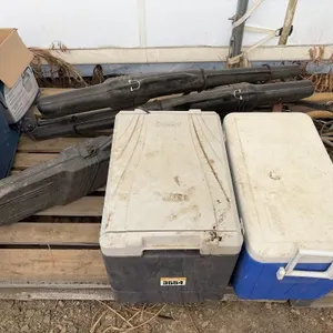 Two Coolers & 3 Gun Scabbards