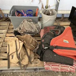 Saddle Pads, Bucket With Bridles & More