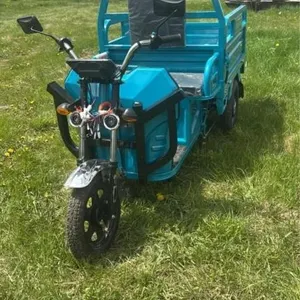 "IRET13 New ELECTRIC TRICYCLE LCD English instrume