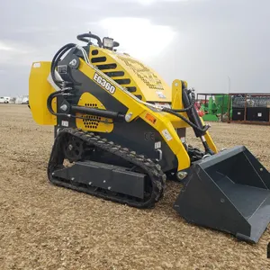 2024 EG360 Mini Skid Steer Loader
 UNRESERVED