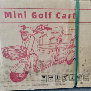 Unused 2026  IRANCH  Mini Electric  Golf Cart - Blue