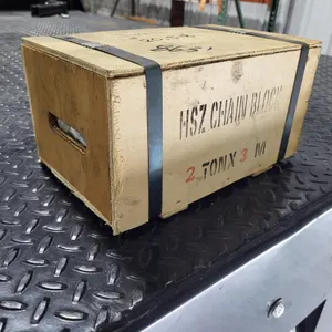 Unused 2026  HSZ  2-Ton  Chain Block