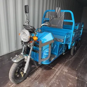IRANCH IRET13 Electric Tricycle