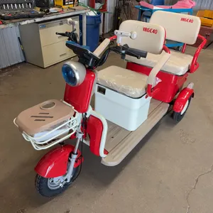 IRGC40 High-End Mini Golf Cart