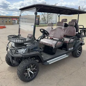 New SDLANCH SDLGC100 6-Seat Electric Golf Cart - 4000W AC Electric Motor, 60V100AH Battery