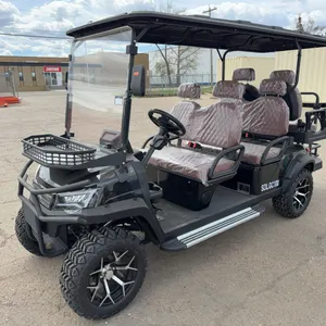 New SDLANCH SDLGC100 6-Seat Electric Golf Cart - 4000W AC Electric Motor, 60V100AH Battery