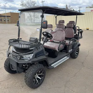 New SDLANCH SDLGC100 6-Seat Electric Golf Cart - 4000W AC Electric Motor, 60V100AH Battery