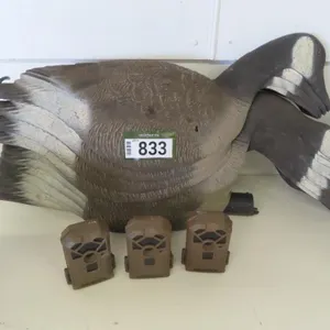 Lot - (3) Muddy Trail Cameras & Qty of Goose Decoys.