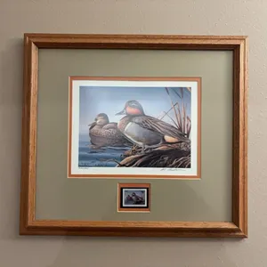 Mark Anderson Duck Print