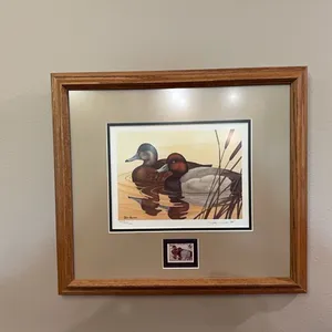 Duck picture and stamp