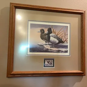 Mark Anderson Duck Print