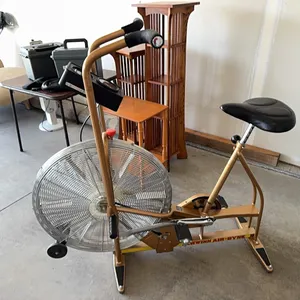 Schwinn Air-Dyne Bike