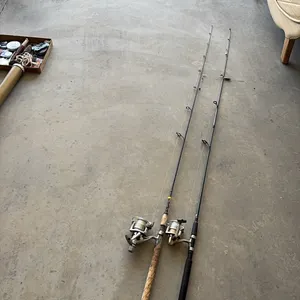 2 fishing poles
